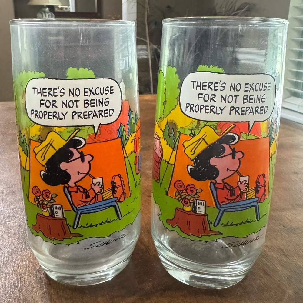 2 Peanuts Comic Drinking Glasses Tumblers